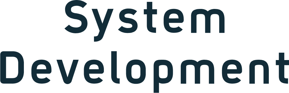 System Development